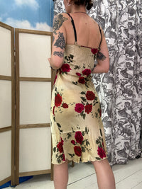 Rose LiuJo dress