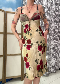 Rose LiuJo dress